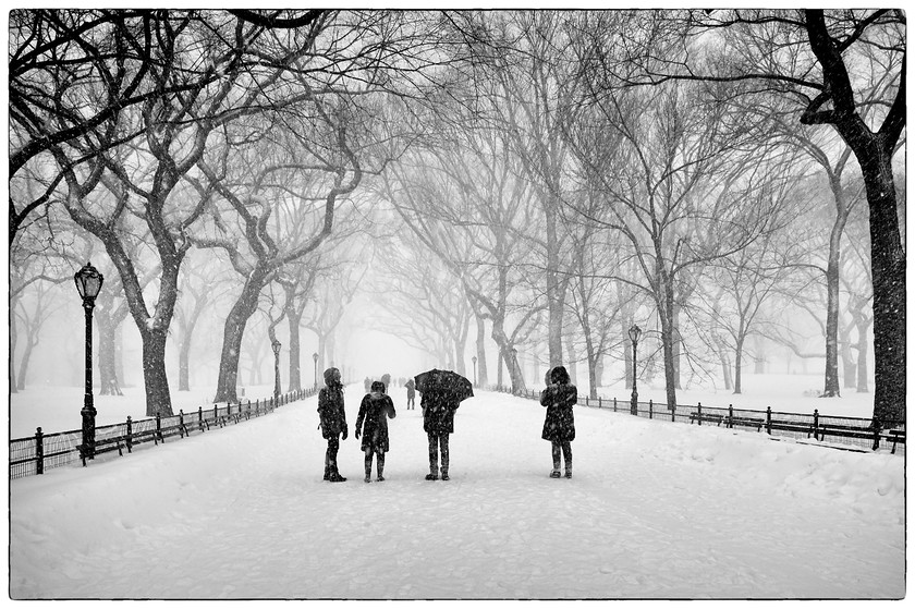 Central-Park-16-044-Edit-20 
 Keywords: 2016, Central Park, Winter Sites